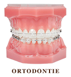 Ortodontie